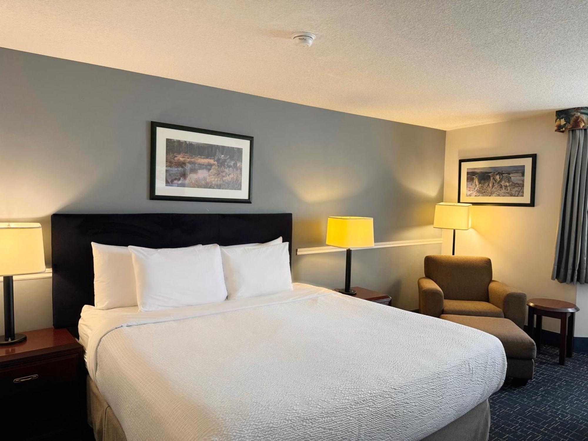 Divya Sutra Plaza And Conference Centre Calgary Airport Hotel Екстериор снимка